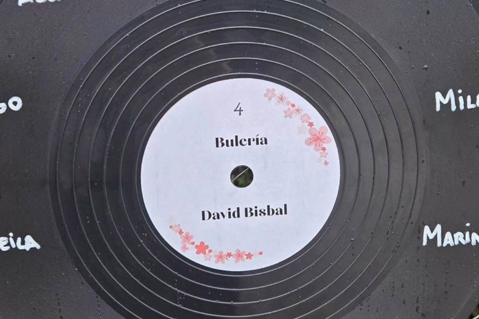 Vinilo seating plan