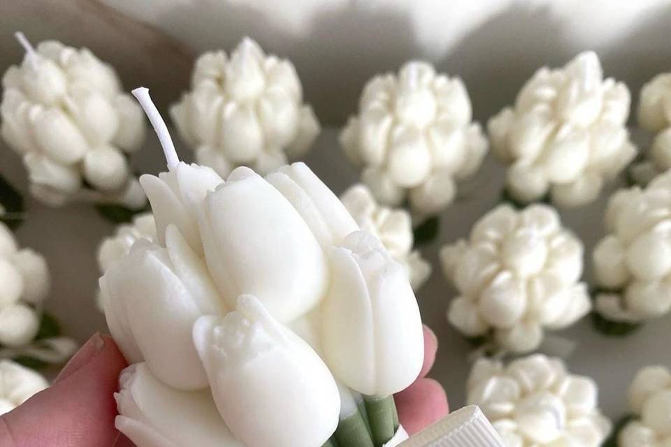 Tulipanes