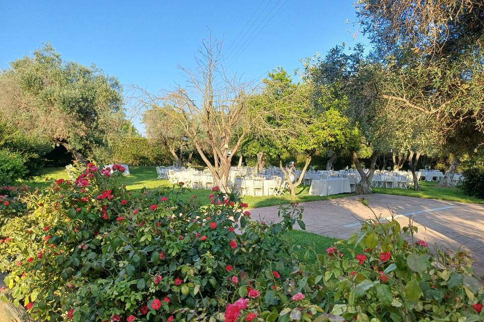 Entre flores