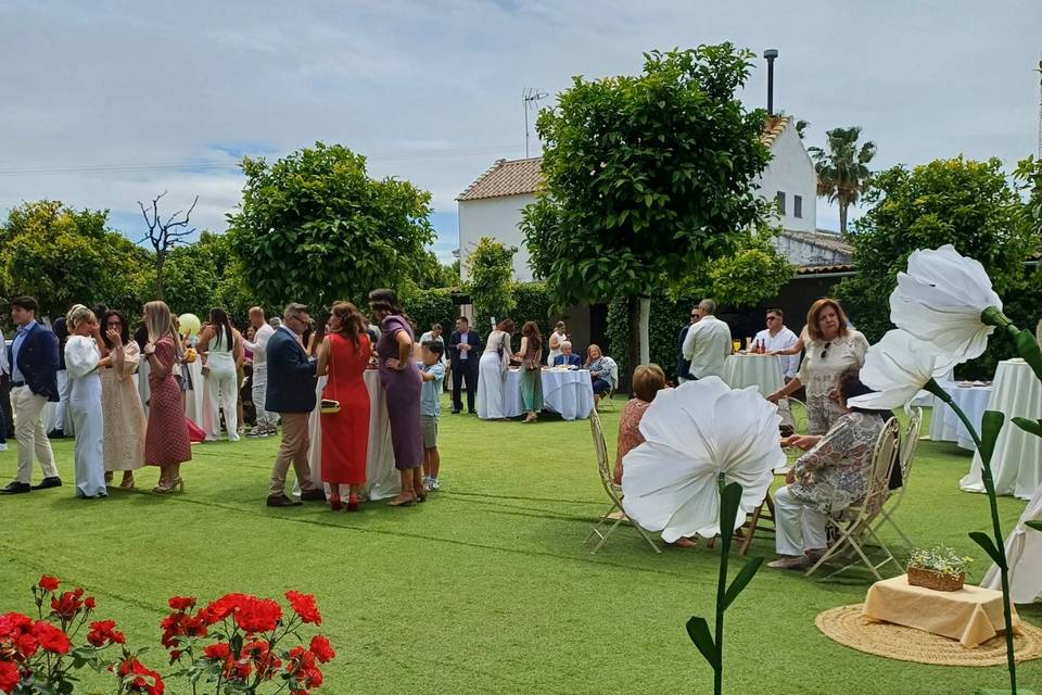 Flores en mayo