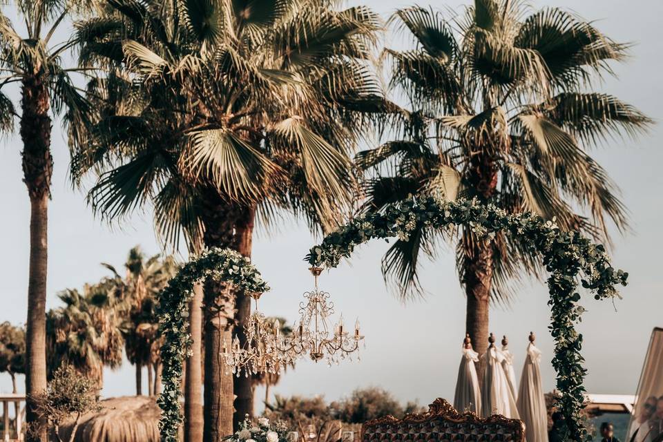 Pink Palms