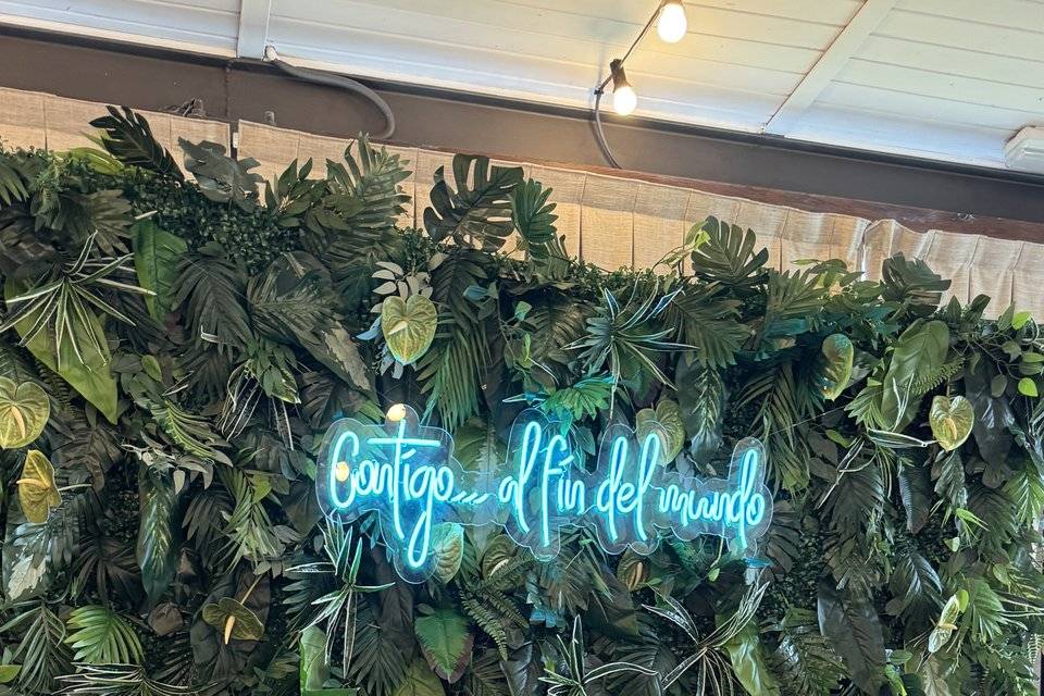 Panel Plantas