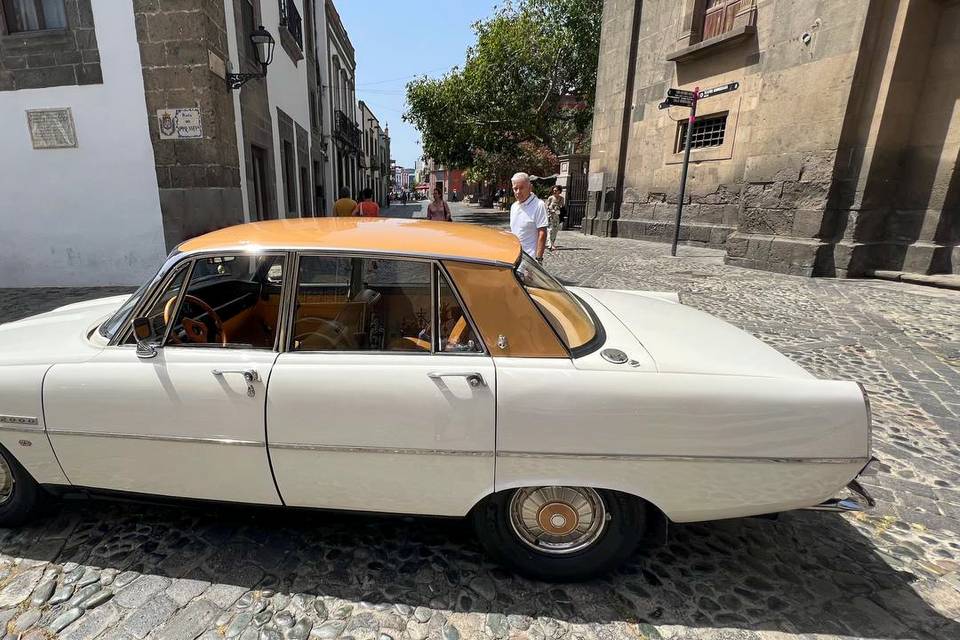 Rover P6