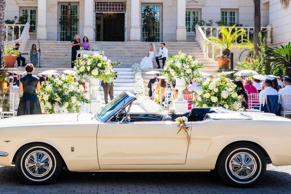 MUSTANG