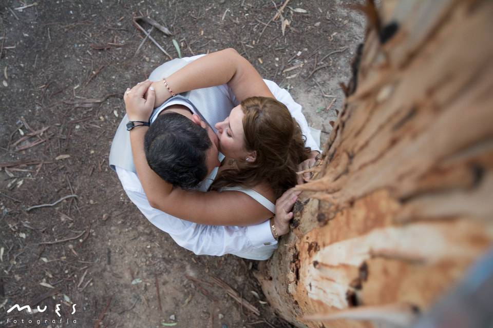 Beso en el árbol