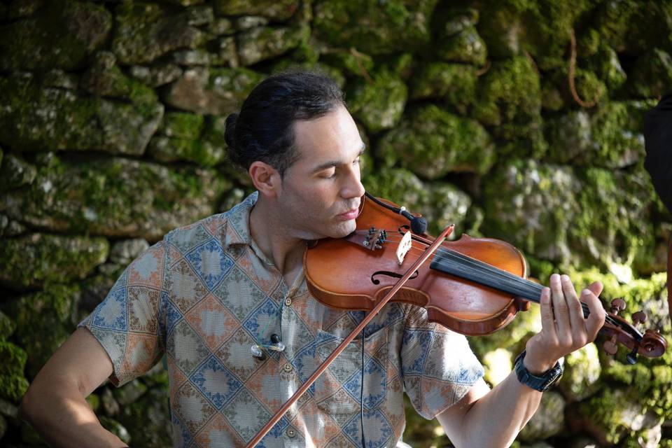 Violín en ceremonia