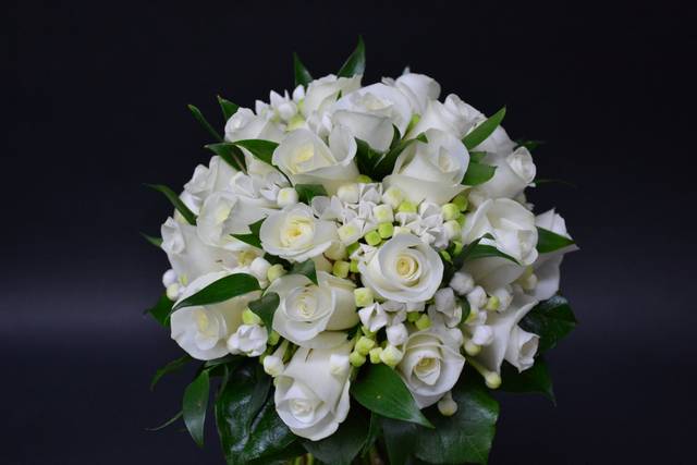 Rosas y boubardia