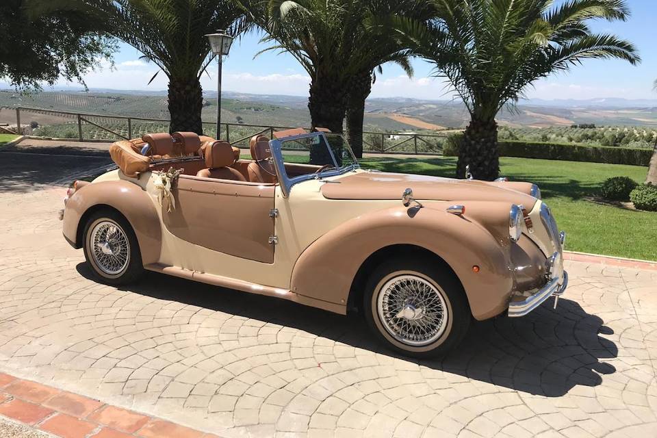 Classic Cars