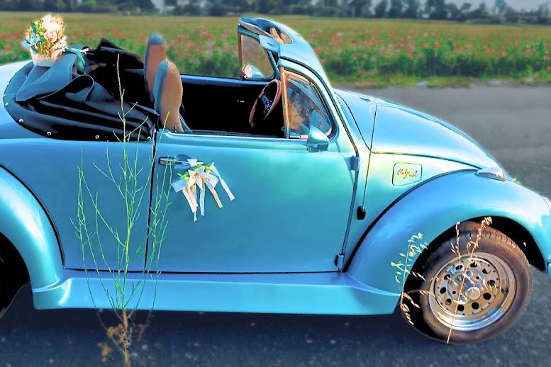 Volkswagen Escarabajo