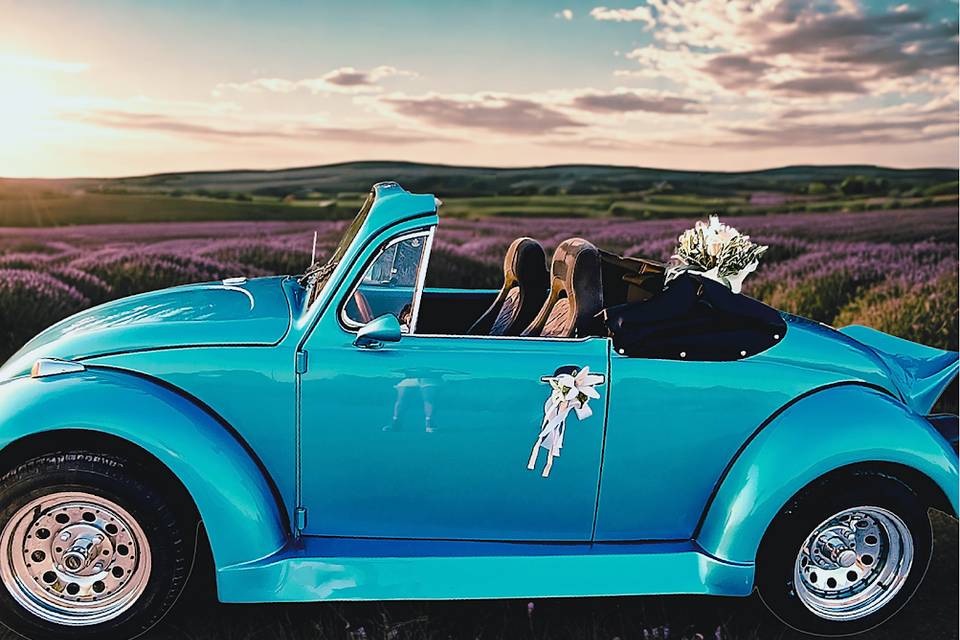 Volkswagen Escarabajo