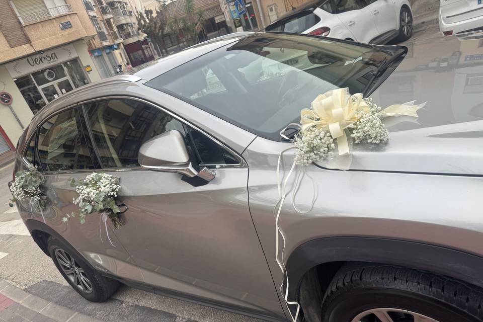 Coche