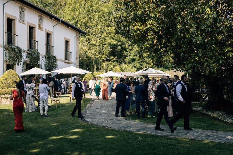 Entrada aperitivos