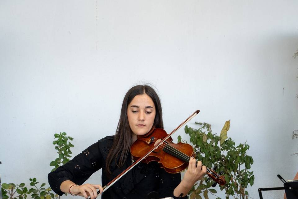 Violín
