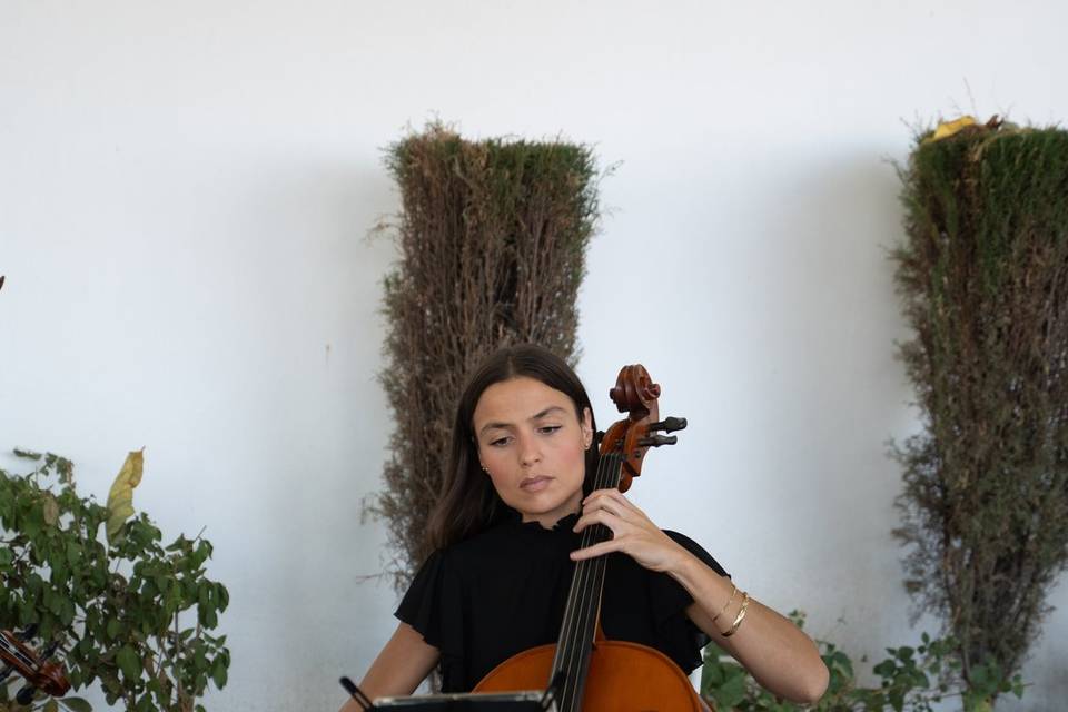 Cello