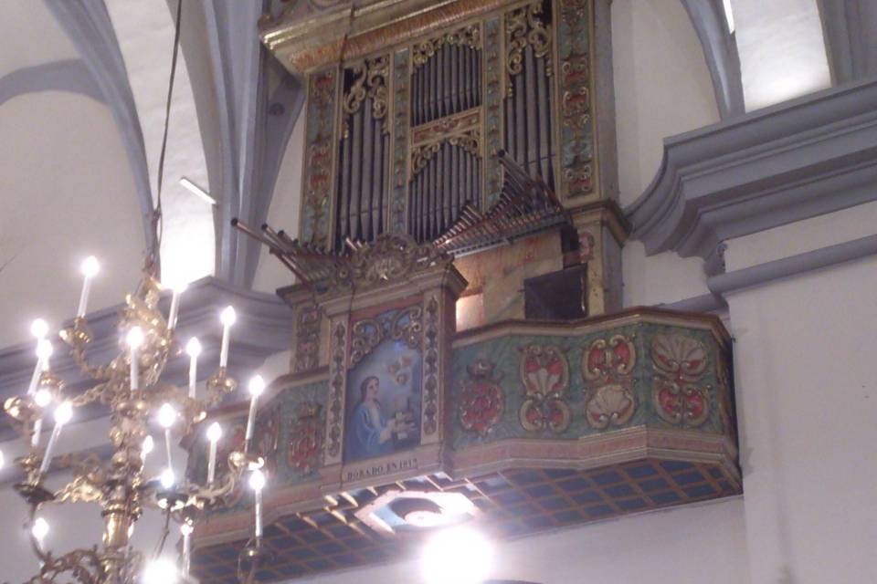 Cantando en órgano de Talarn
