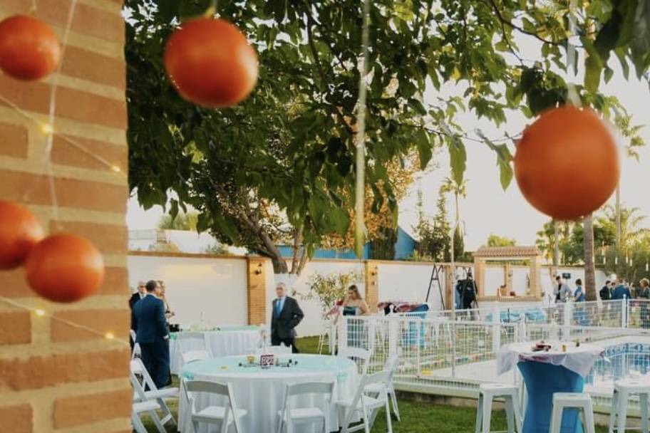 Citroen HY Boda en Jardín