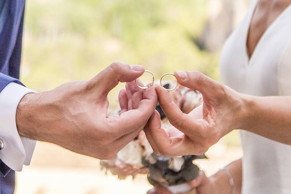 Anillos