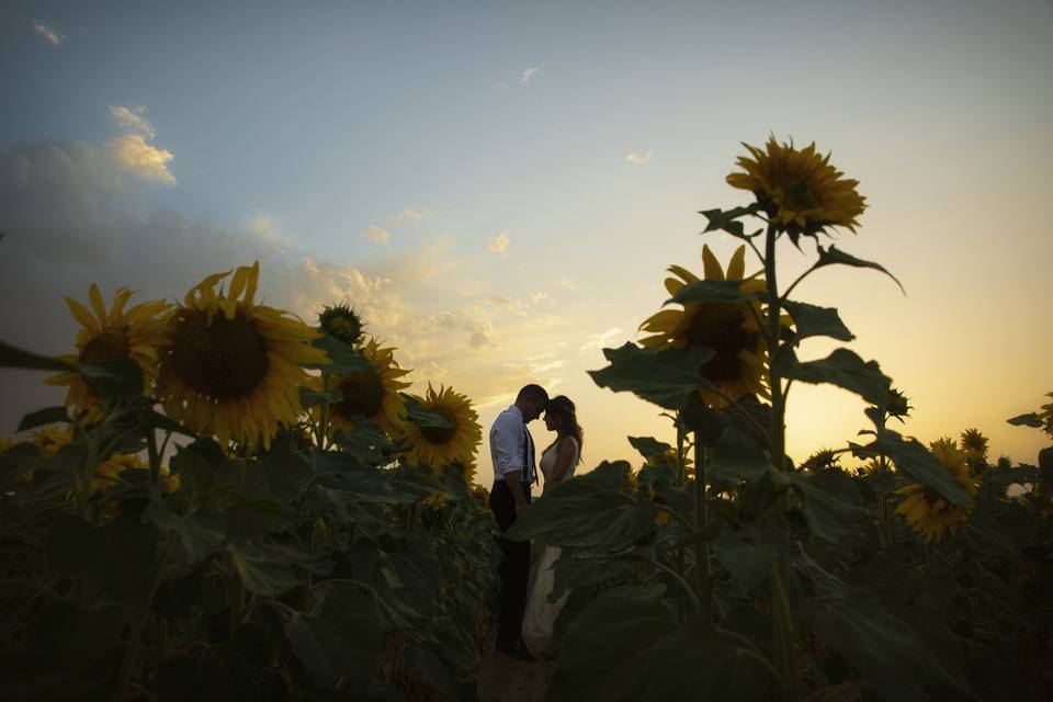 Fotógrafo de Bodas