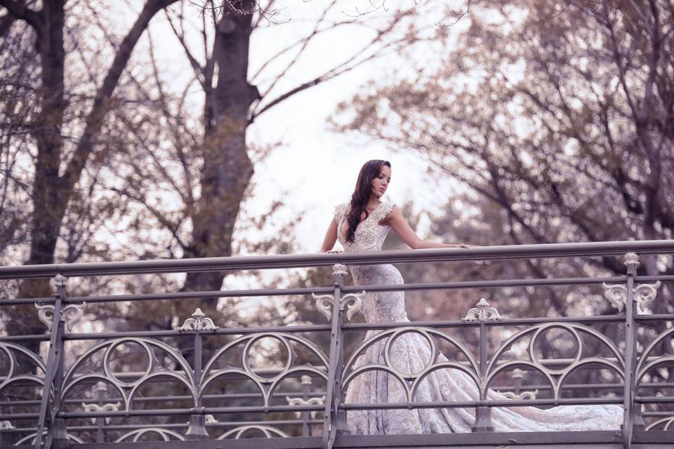 Novia en Central Park