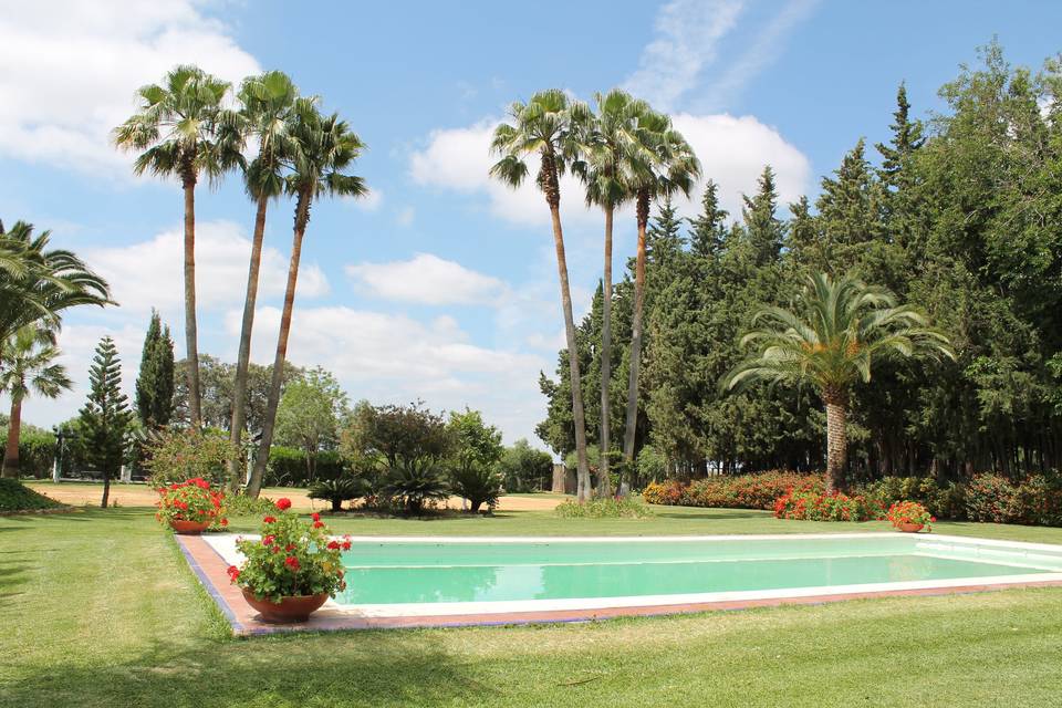 Hacienda Guadalete