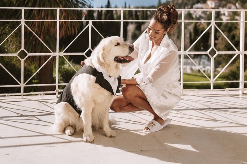 Bodas con Huella - Tu Perro en tu Evento