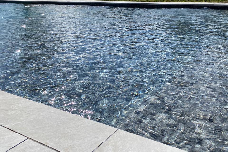 Piscina, jardín, lobby y sala