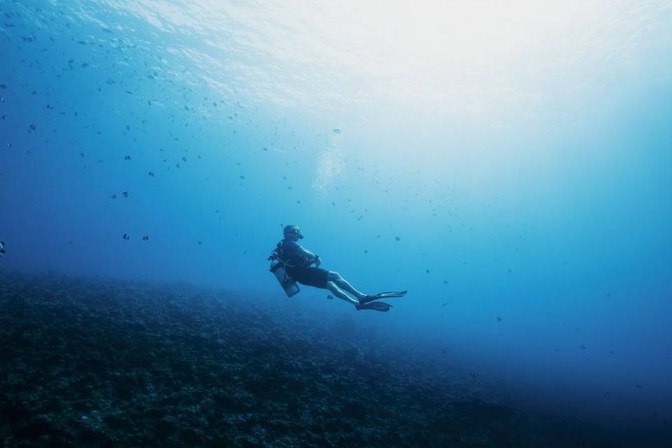 Submarinismo