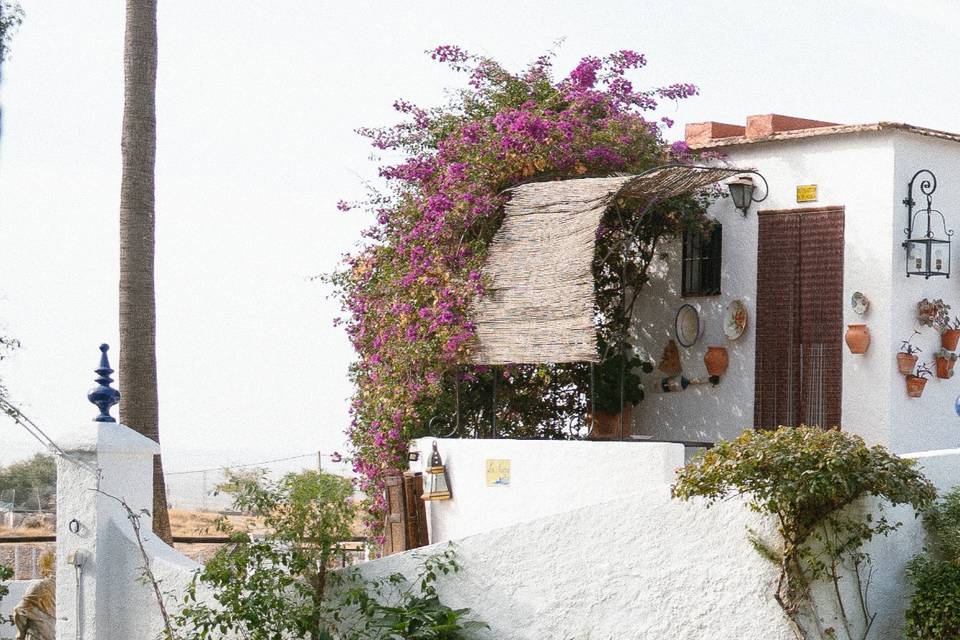 Jardín