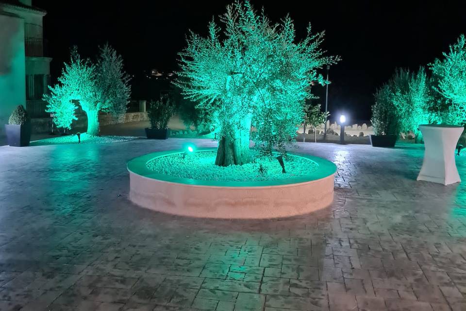 Jardines de noche