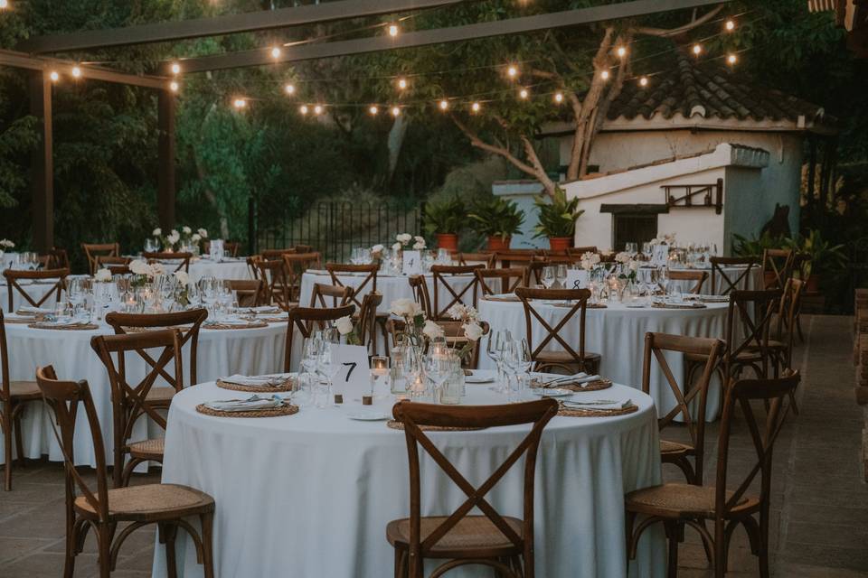 Centros para banquetes
