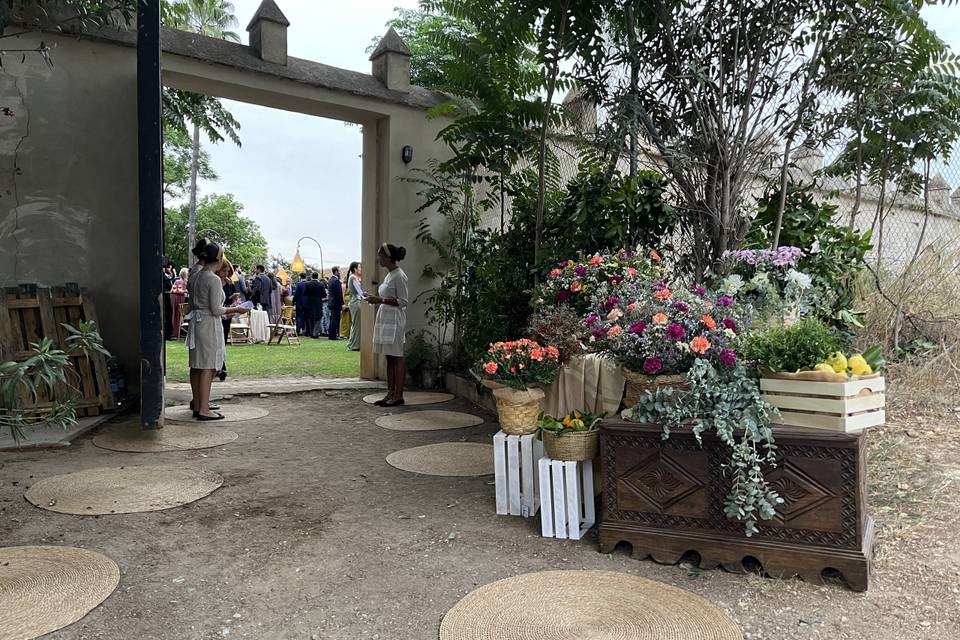 Entrada a jardín