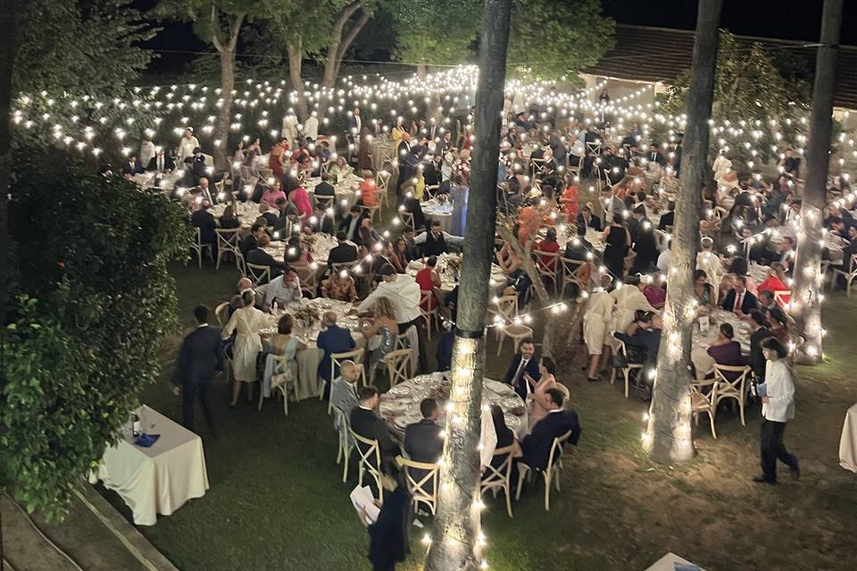 Celebración jardín noche