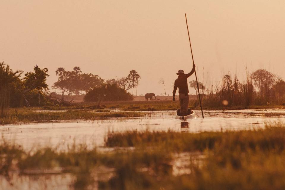 Delta del Okavango