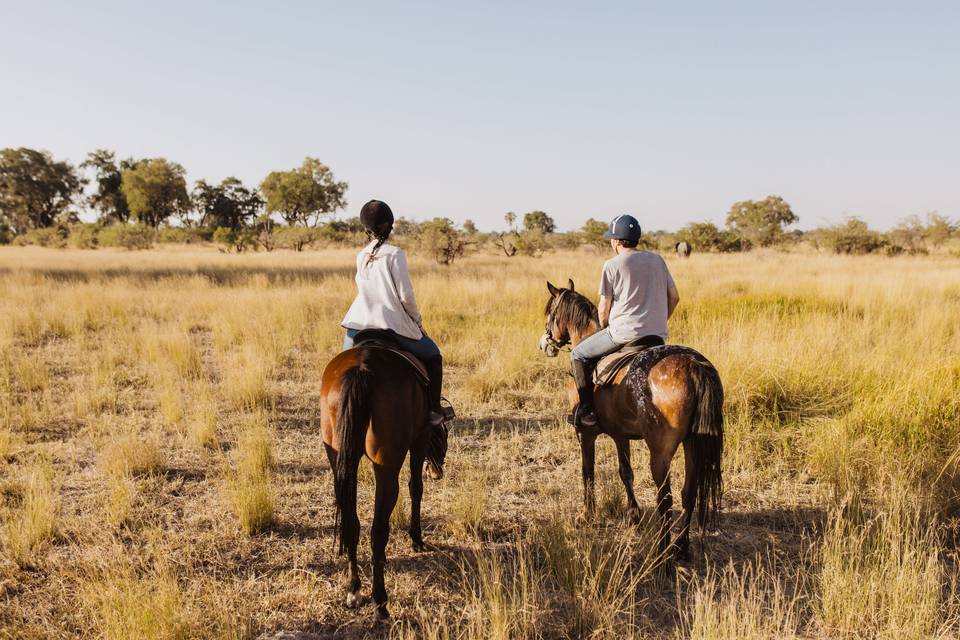 Safari a caballo en Botswana