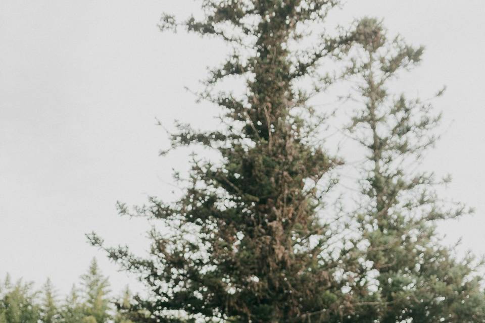 Puede besar a la novia.