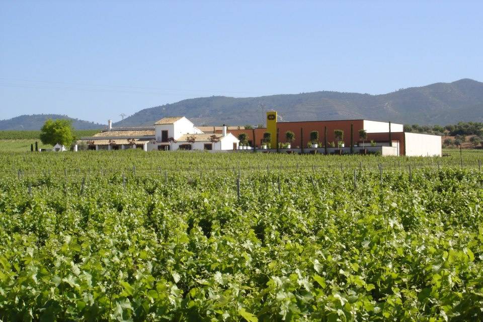 Vista de la bodega