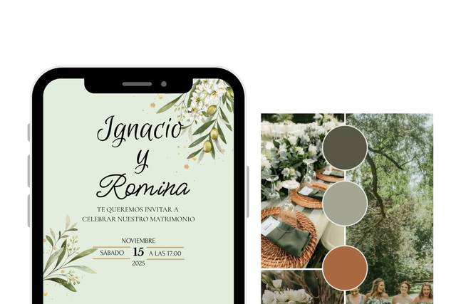 Brown and Olive