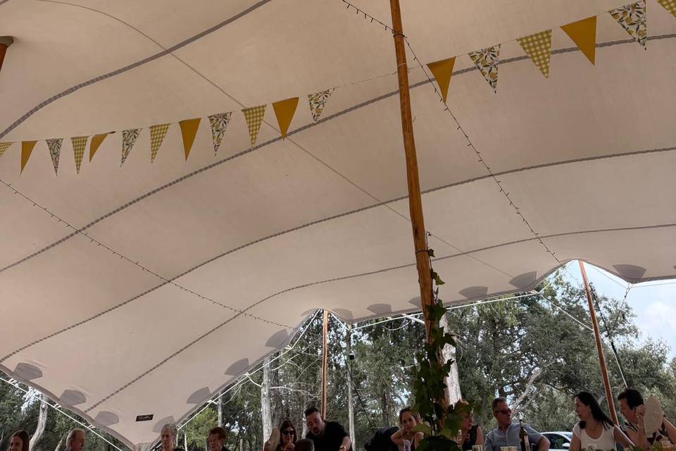 Zona carpa