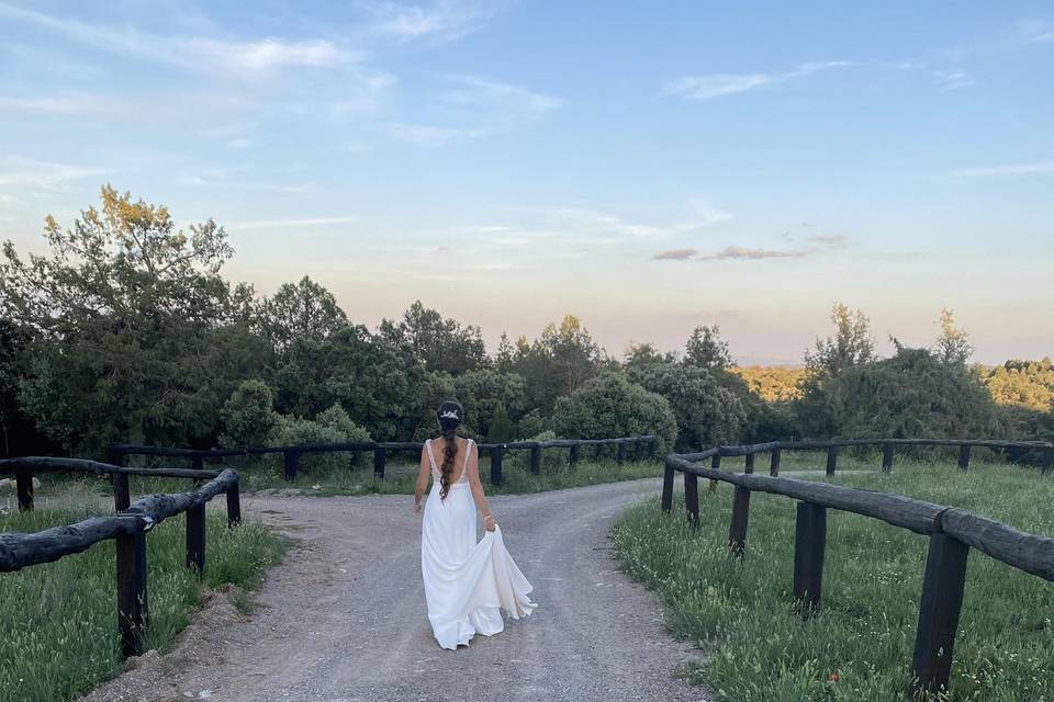 Camino