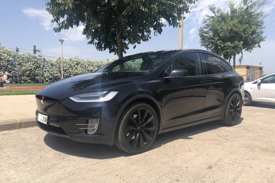 Tesla Model X P100D