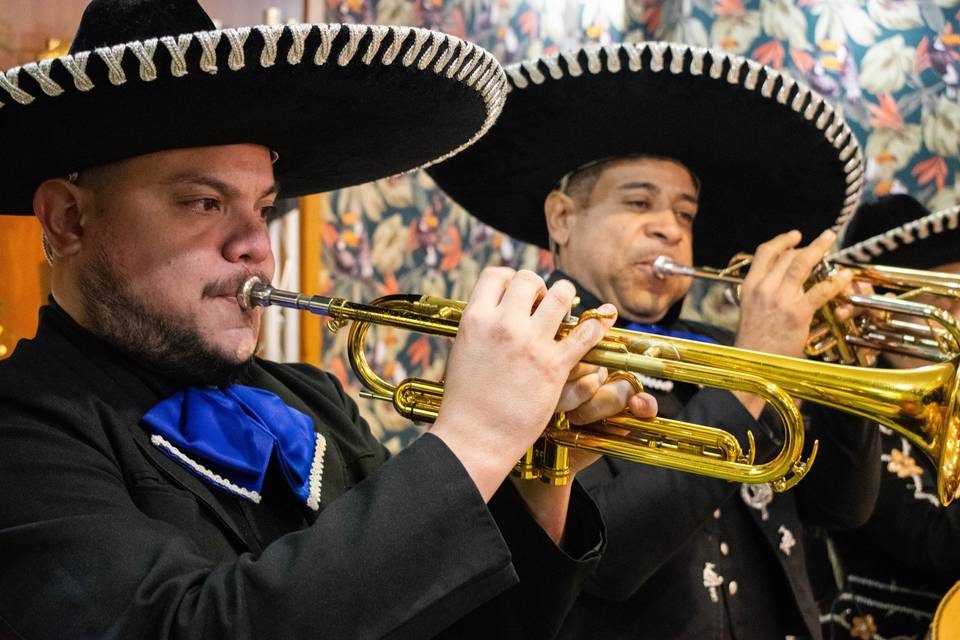 Mariachi Sol de Galicia