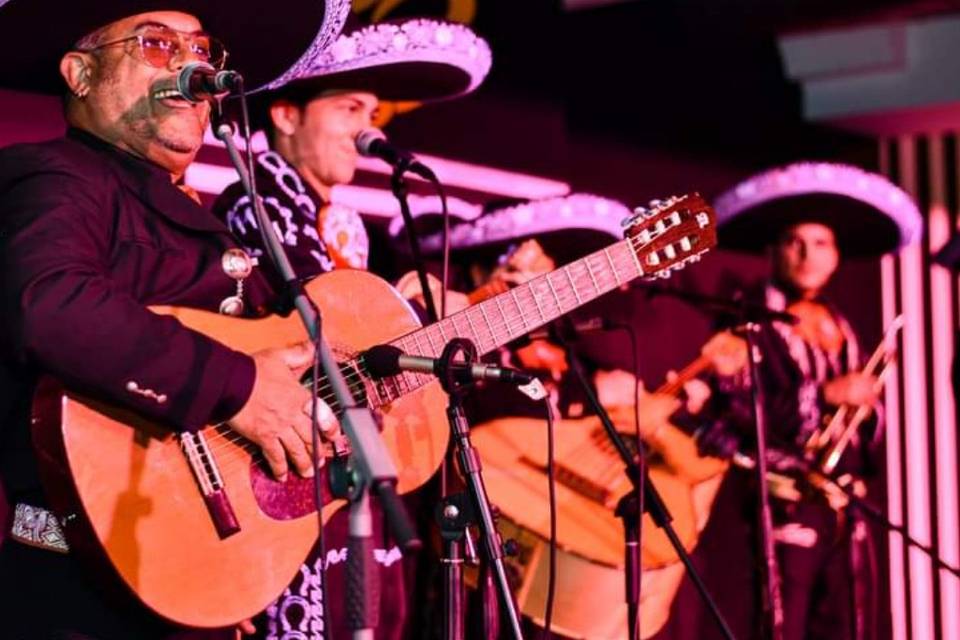 Mariachi Sol de Galicia