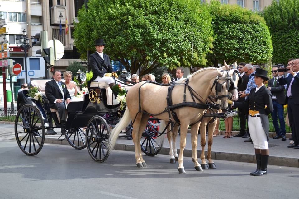 OAC Coche de Caballos