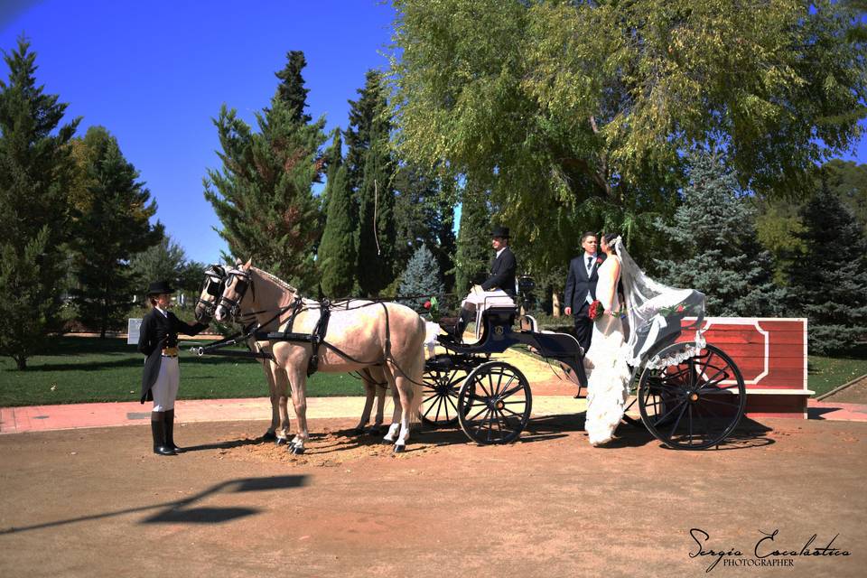 OAC Coche de Caballos