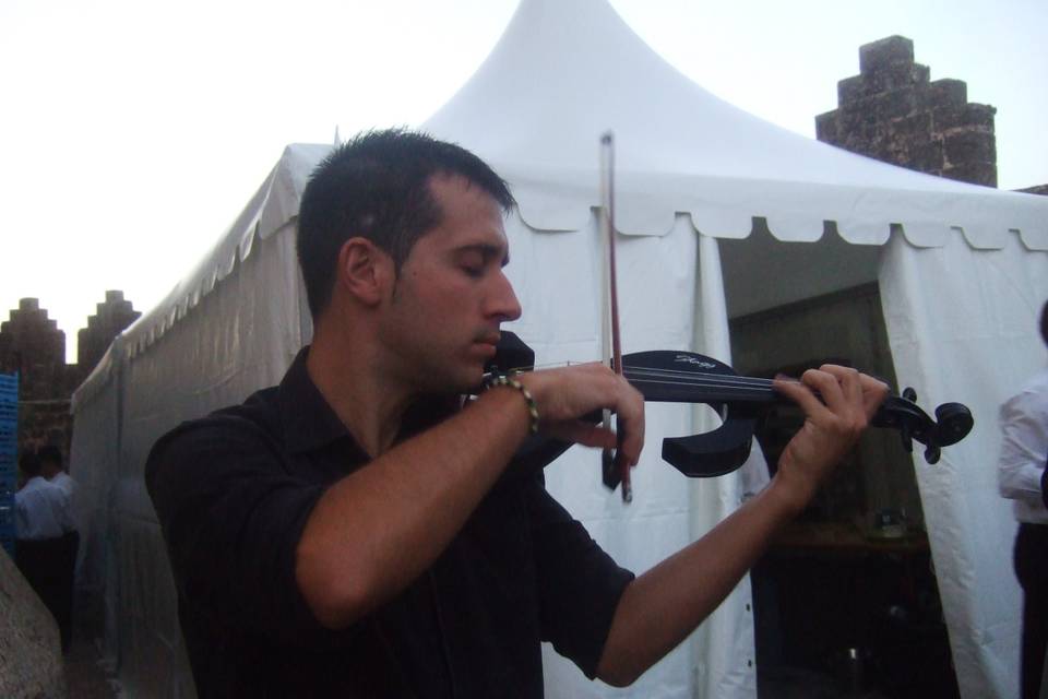 Violin Music Experience