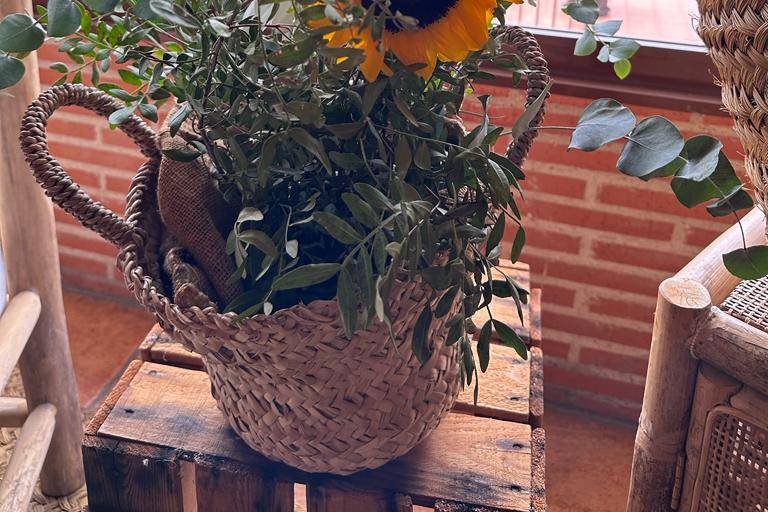 Finca Las Nieves