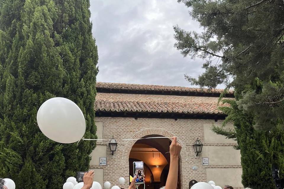Bodas