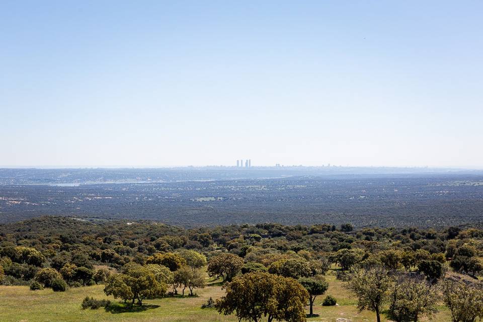 Contraste de Madrid y el campo