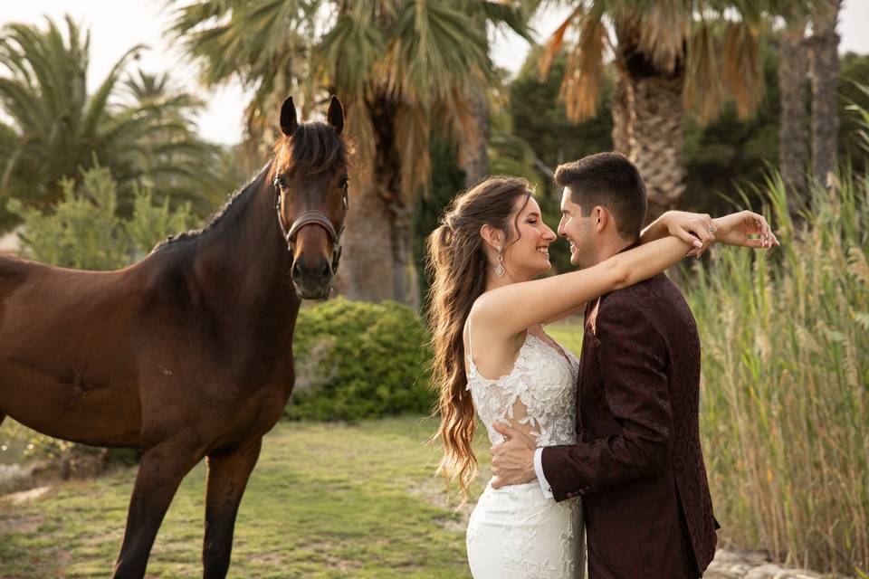 Postboda con caballos