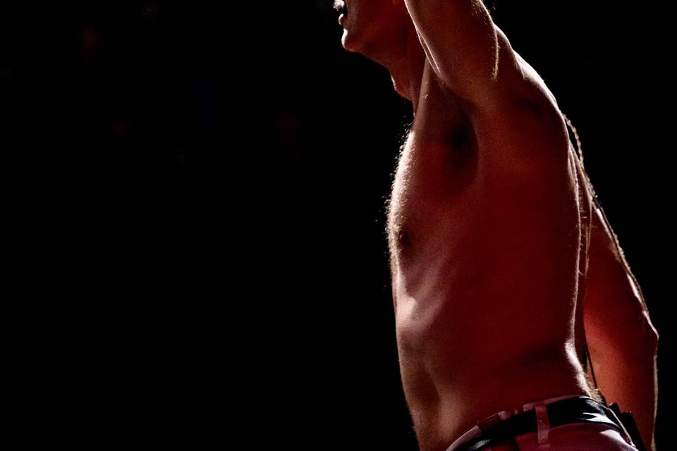 Freddie